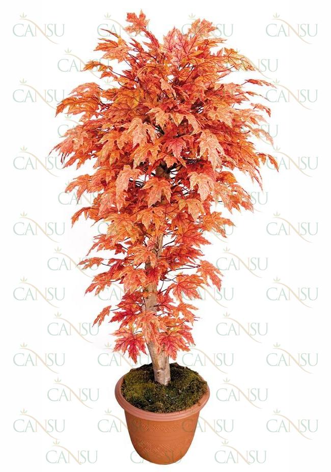 Yapraklı Ağaçlar, Model No: CT-04-515