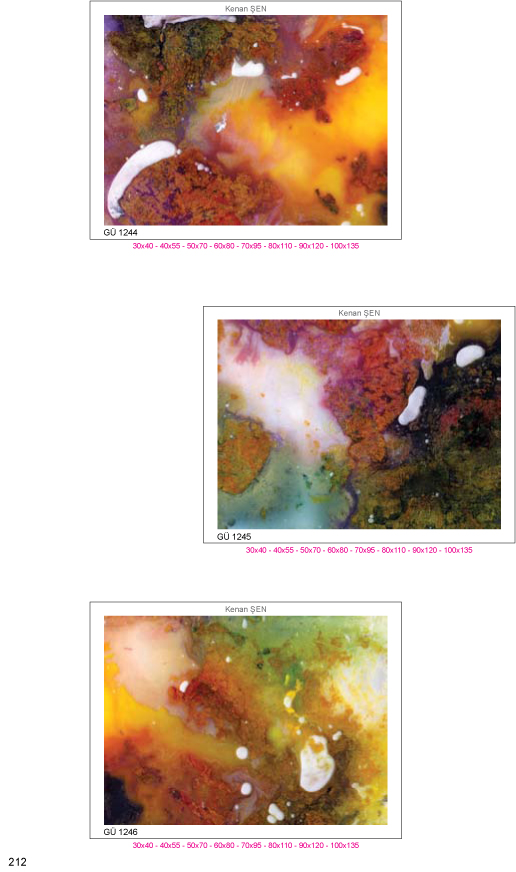 Reproductions, Page: 212