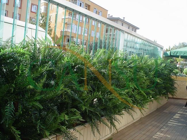 Plant wall, Bitki_Duvar_002