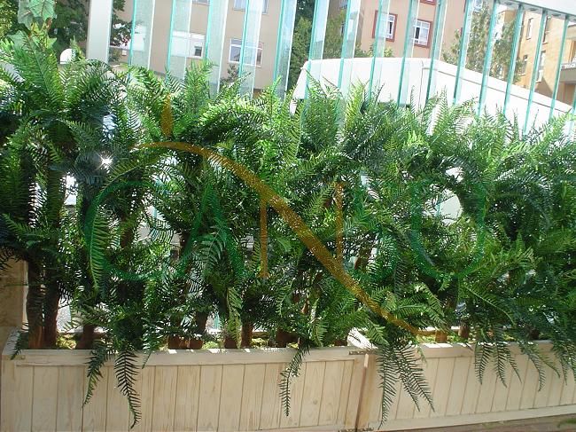 Plant wall, Bitki_Duvar_003