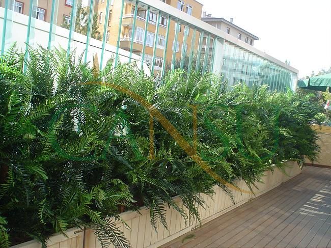 Plant wall, Bitki_Duvar_004