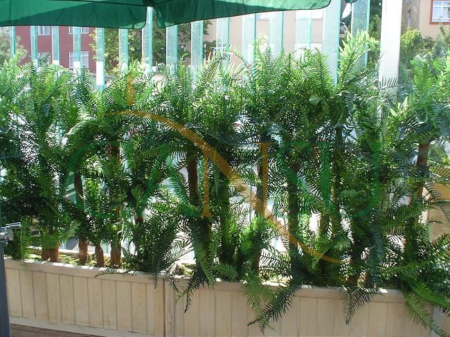 Plant wall, Bitki_Duvar_006