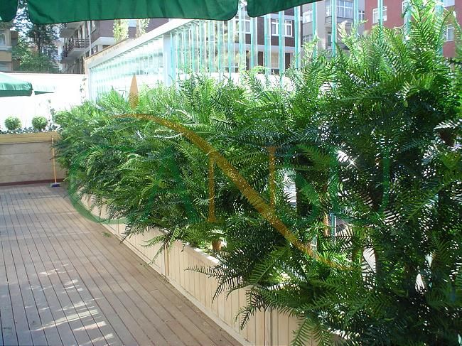 Plant wall, Bitki_Duvar_008