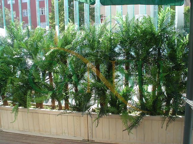 Plant wall, Bitki_Duvar_009