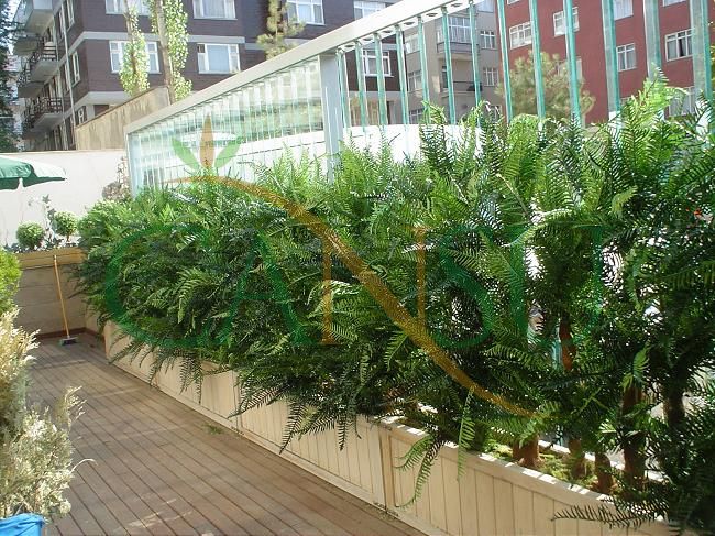 Plant wall, Bitki_Duvar_010