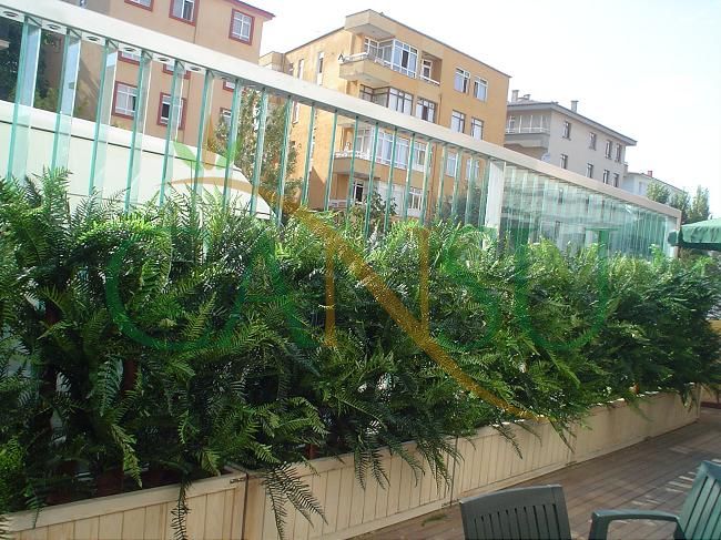 Plant wall, Bitki_Duvar_011