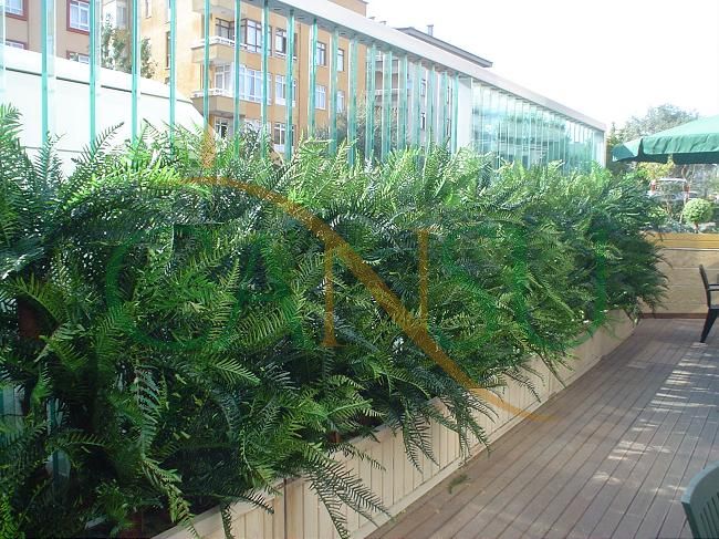 Plant wall, Bitki_Duvar_012