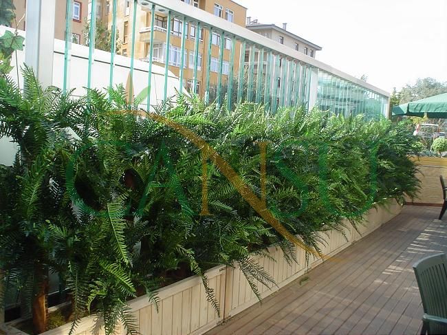 Plant wall, Bitki_Duvar_013