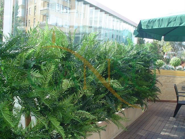 Plant wall, Bitki_Duvar_014