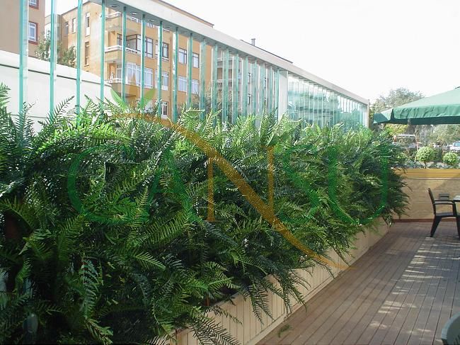 Plant wall, Bitki_Duvar_015