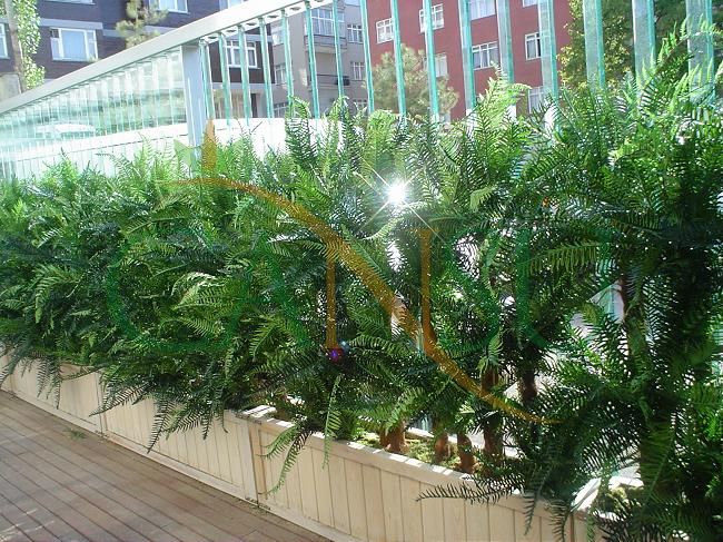 Plant wall, Bitki_Duvar_016