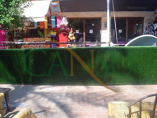 Grass wall, Cim_Duvar_010