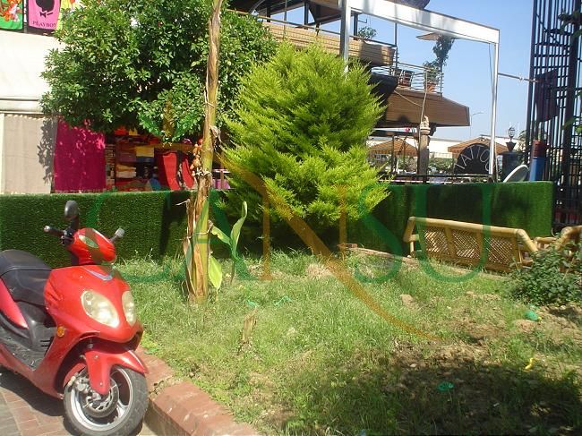 Grass wall, Cim_Duvar_011