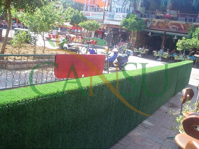 Grass wall, Cim_Duvar_020