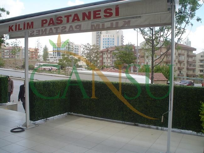 Grass wall, Cim_Duvar_024