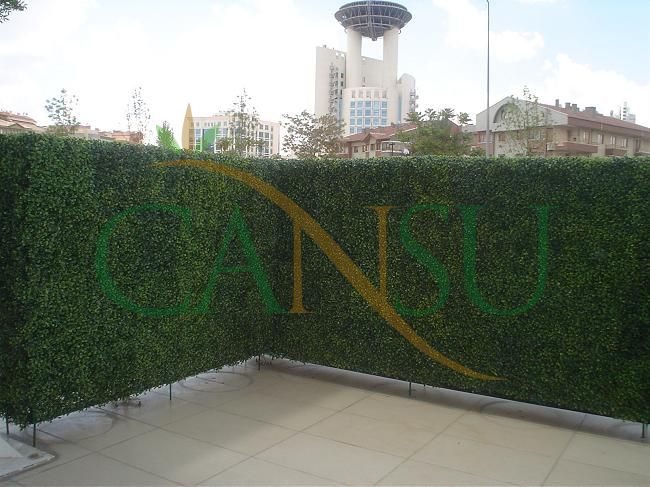 Grass wall, Cim_Duvar_025