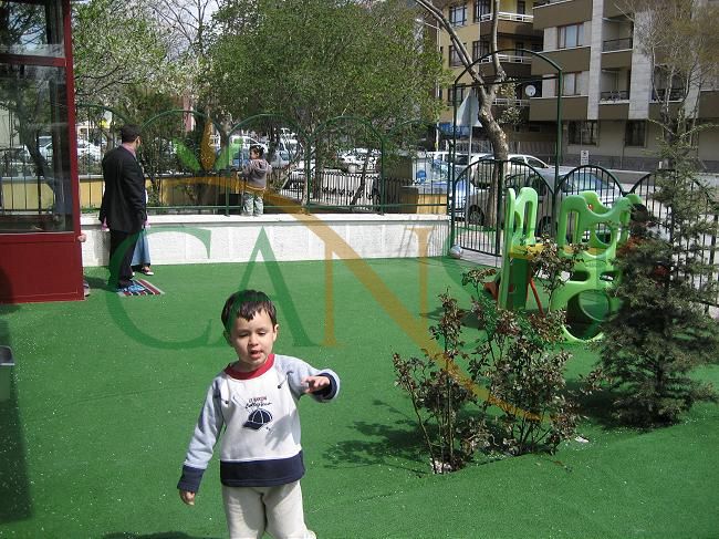 Grass carpeting and covering, Kres_Cim_008