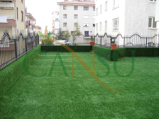 Grass carpeting and covering, Kres_Cim_009