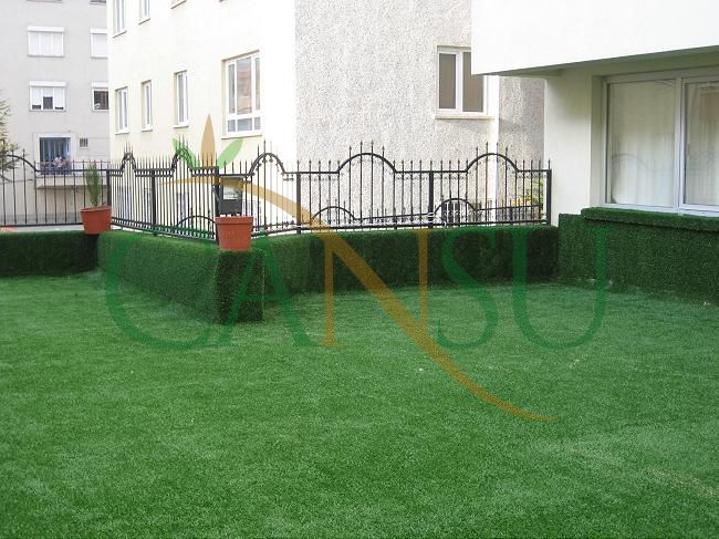 Grass carpeting and covering, Kres_Cim_010