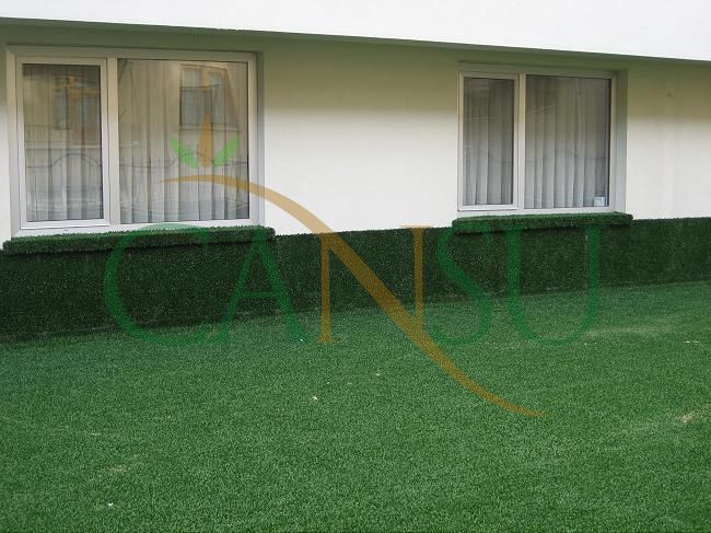 Grass carpeting and covering, Kres_Cim_012