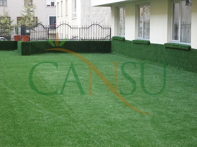Grass carpeting and covering, Kres_Cim_018