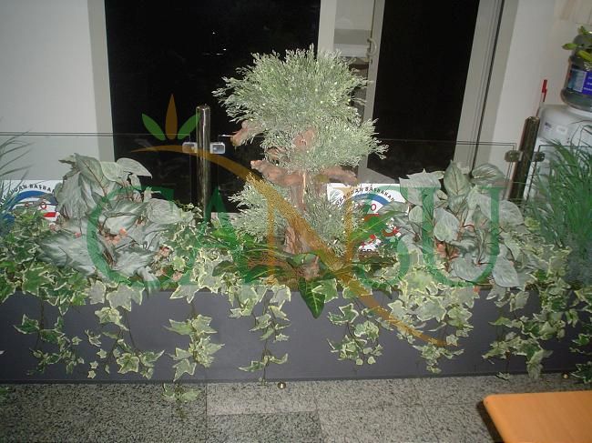 Interior decorations, Dekorasyon_Ic_Mekan_025