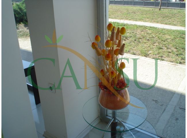 Furniture decoration 1, Mobilya_Dekorasyon_Yakin_Plan_010