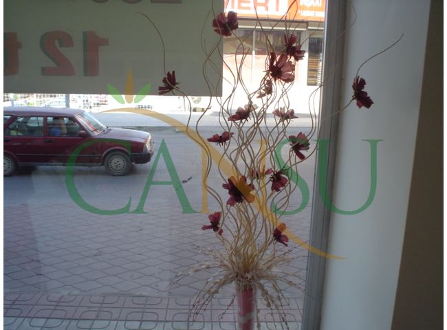 Furniture decoration 1, Mobilya_Dekorasyon_Yakin_Plan_013