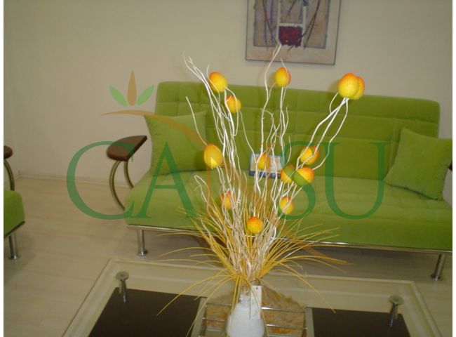 Furniture decoration 1, Mobilya_Dekorasyon_Yakin_Plan_022