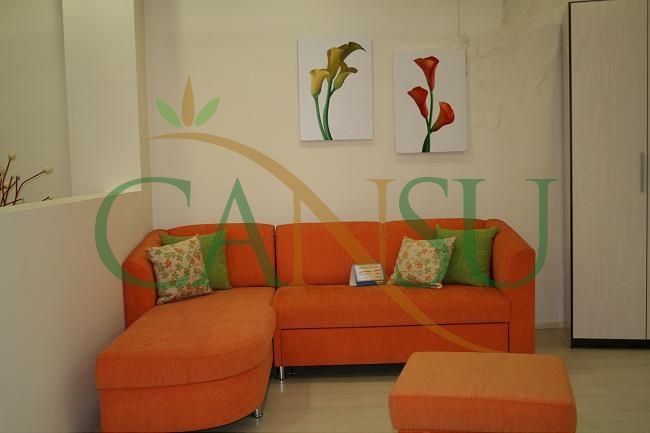 Furniture decoration 2, Mobilya_Dekorasyon_013