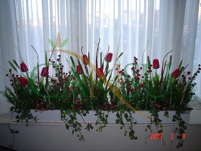 Niche Applications, Nis_Uygulama_009