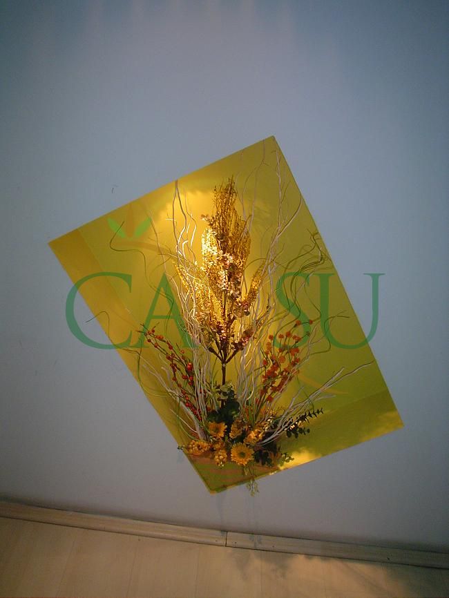 Niche Applications, Nis_Uygulama_011