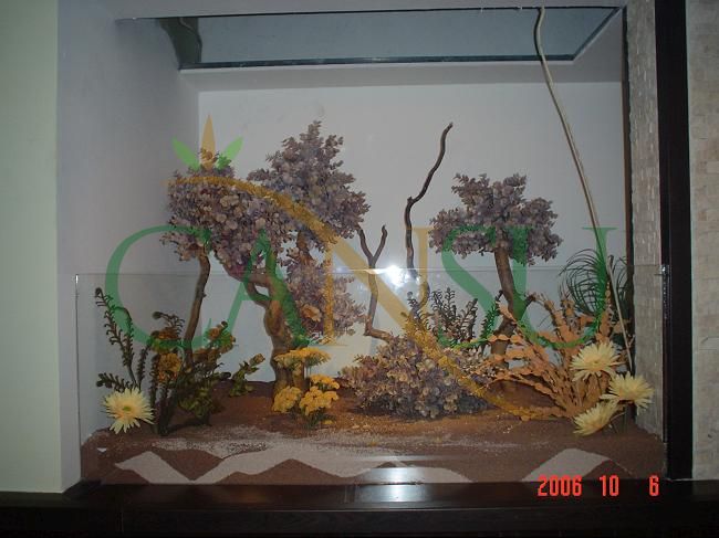 Niche Applications, Nis_Uygulama_016