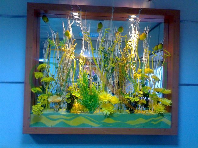 Niche Applications, Nis_Uygulama_017