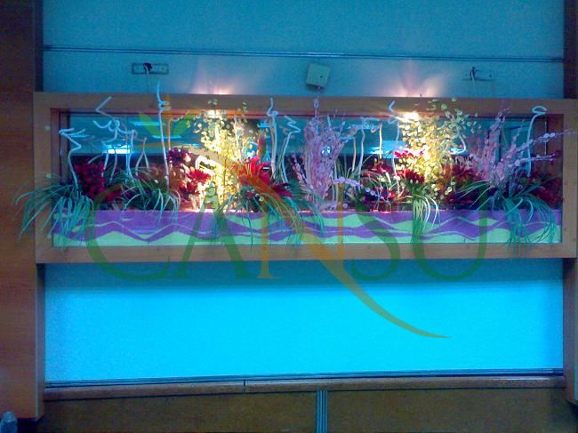 Niche Applications, Nis_Uygulama_022