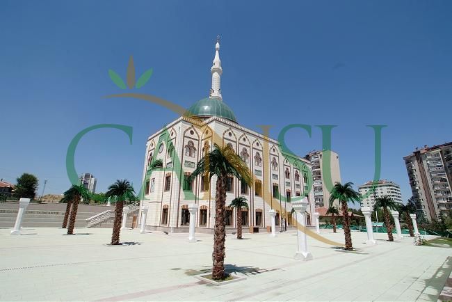 Exterior Palm tree applications, Dis_Mekan_Palmiye_002