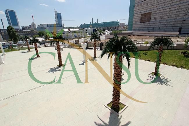 Exterior Palm tree applications, Dis_Mekan_Palmiye_004