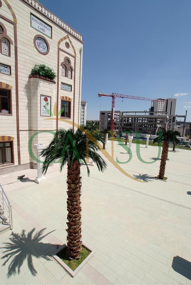 Exterior Palm tree applications, Dis_Mekan_Palmiye_005