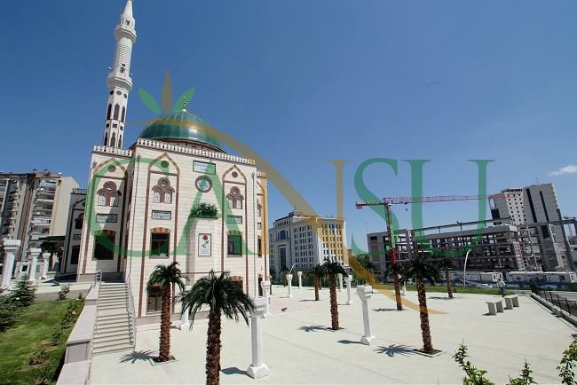 Exterior Palm tree applications, Dis_Mekan_Palmiye_008