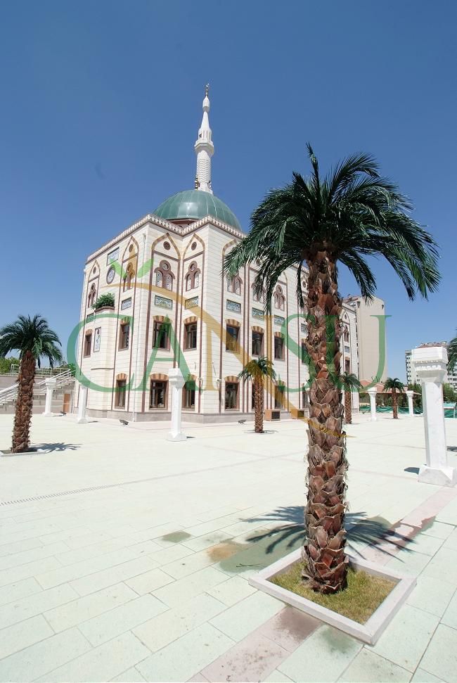 Exterior Palm tree applications, Dis_Mekan_Palmiye_010