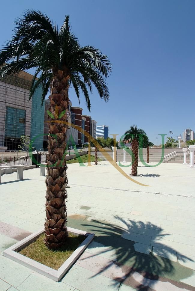 Exterior Palm tree applications, Dis_Mekan_Palmiye_011