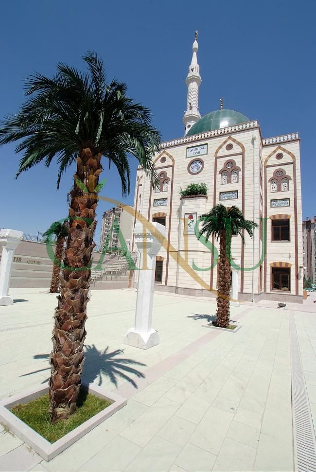 Exterior Palm tree applications, Dis_Mekan_Palmiye_012