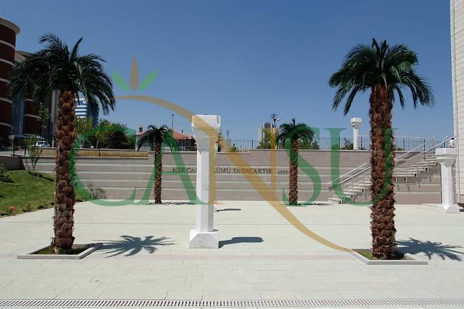 Exterior Palm tree applications, Dis_Mekan_Palmiye_013