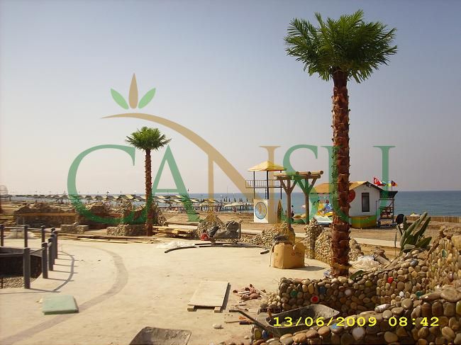 Exterior Palm tree applications, Dis_Mekan_Palmiye_015