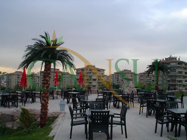 Exterior Palm tree applications, Dis_Mekan_Palmiye_025