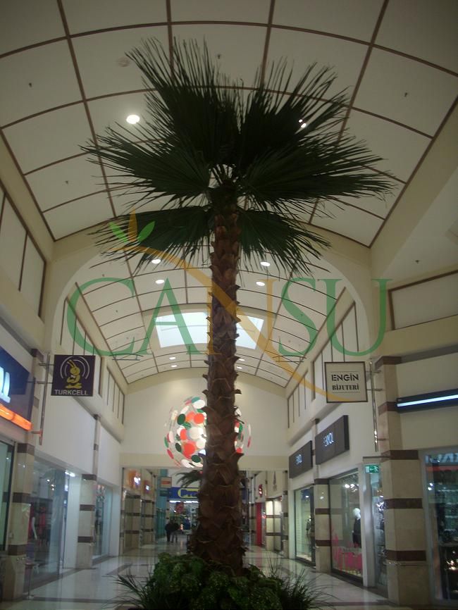 Interior palm tree applications, Ic_Mekan_Palmiye_002