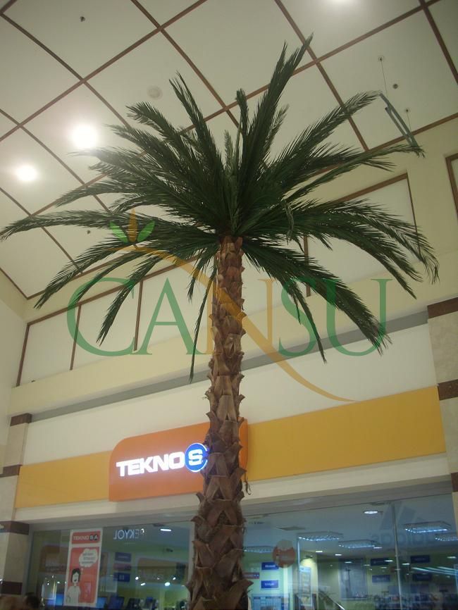 Interior palm tree applications, Ic_Mekan_Palmiye_004