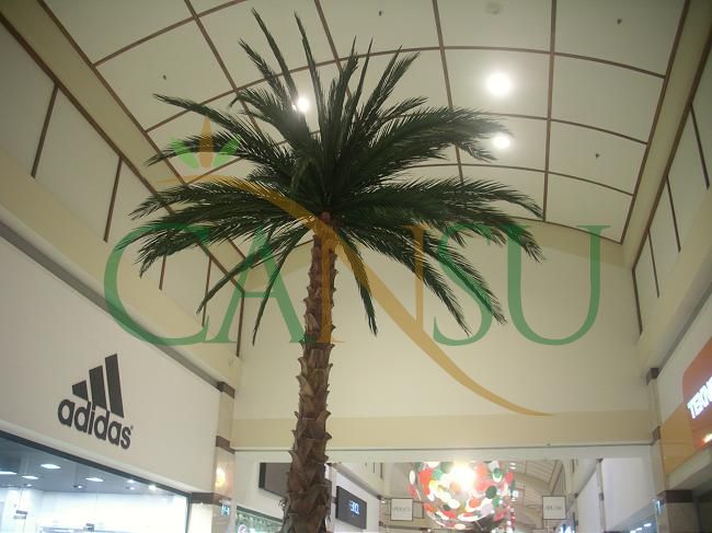 Interior palm tree applications, Ic_Mekan_Palmiye_005