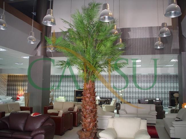 Interior palm tree applications, Ic_Mekan_Palmiye_006