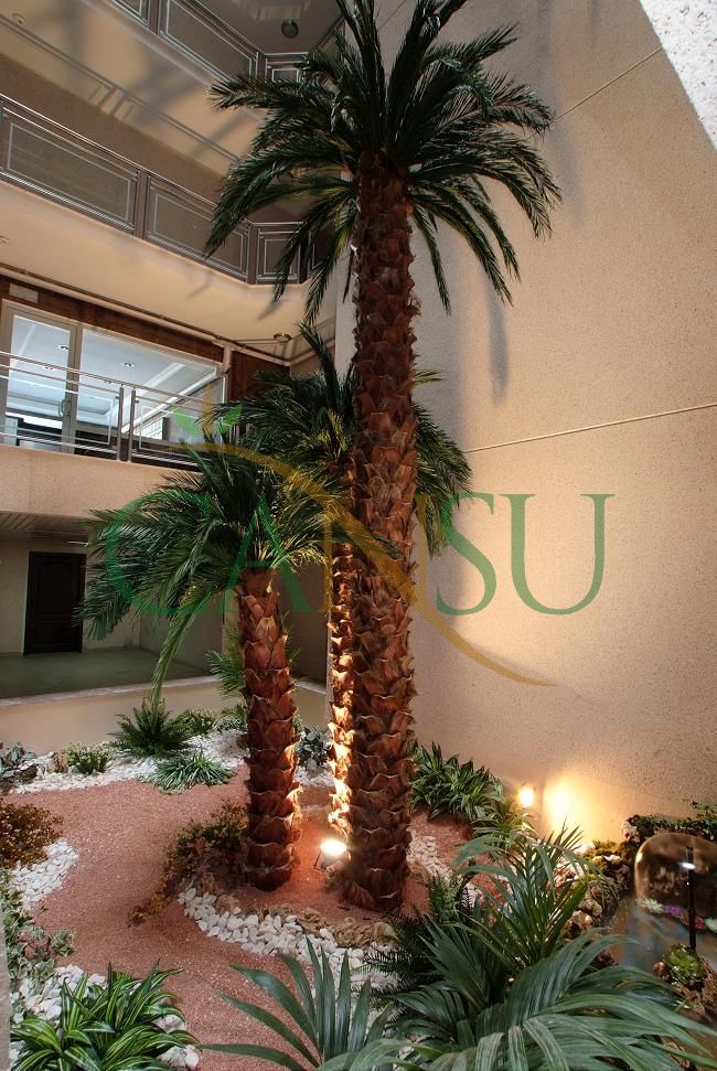 Interior palm tree applications, Ic_Mekan_Palmiye_007